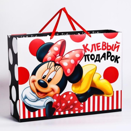 Laminated horizontal package, 46 x 61 cm "for the most stylish!", Minnie Mouse-1