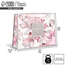 Gift Laminated Horizontal Package, Packaging, Present for You, ML 27 x 23 x 11.5 cm