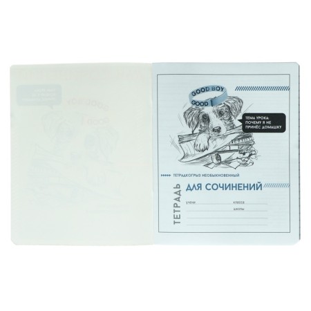 A notebook “Bright details”, 48 sheets in a cage “for essays”, cover coated cardboard, selective twin-lak, UV-lak, block offset-1