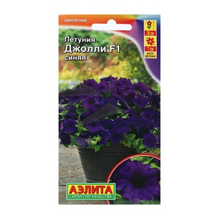 Petunia Jolly Blue F1 multi -flowered, 7 pcs-2