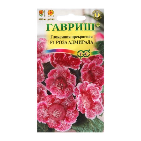 Gloxinia seeds are beautiful "Admiral Rose", F1, 4 pcs