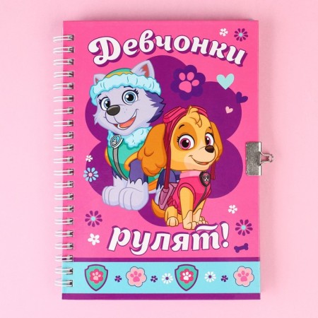 Gift set: Notebook "Sky and Everest" on the lock and pen, PAW PATROL-2