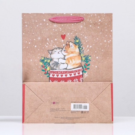 Gift package "Cats in the sock" 26 x 32 x 12 cm-3