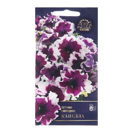 Flower seeds Petunia "Capella", Euro, 10 pcs