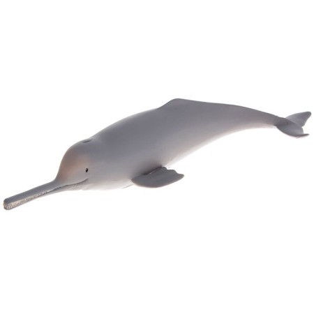 Figure "Gangan river dolphin"