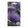 Flower seeds Annual Astra "Clack Blue", 0.2 g