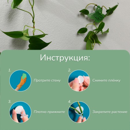 Mounts for climbing plants, 4*4 cm butterfly (set 10 pcs) self -adhesive-4