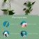 Mounts for climbing plants, 4*4 cm butterfly (set 10 pcs) self -adhesive
