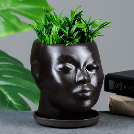 Pot - organizer "Head" dark brown, 1.3 l/16x14x15cm-1