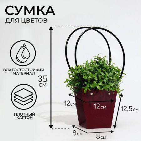 Brill Mologo-resistant flowing bag 12x12-8 x 8-12.5 cm-1