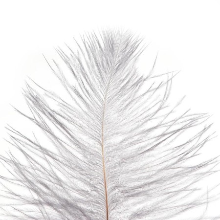 Feather for decor, size: 25-30 cm, gray color-1