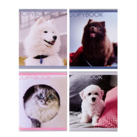 Notebook of 48 sheets in Calligrata "Favorite pets", cover coated paper, block No. 2, whiteness 75% (gray sheets), mix