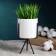 Kashpo "cylinder" white, on a black stand, 15x8x8cm