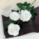 Artificial flowers "Rosa Triad" 7*62 cm, white