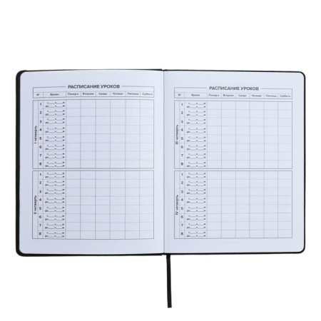 Universal Diary 1-11 grade, 48 sheets "Original", solid cover of artificial leather, embossing foil, liesse, universal cheat sheet, block 80 g/m2-6