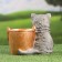 Figure pot "A kitten with a bucket" 18x10x16cm, gray with bronze
