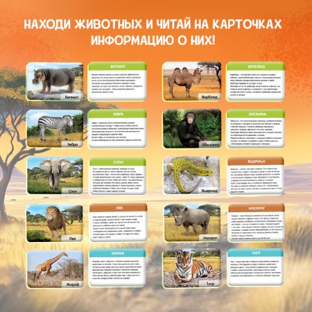 Set for excavations "World of Beasts"-4