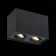 Ceiling lamp ST LUCE. ST109.407.02. 2x50 W, GU10, 18,1x10x12.3 cm, black color