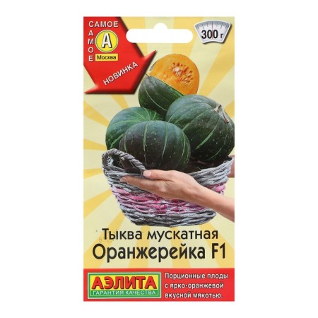 Muscovite pumpkin seeds "Orangee" f1, c/p, 5 pcs