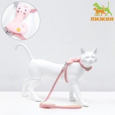 A set of ammunition with a toy, s, leash 120 x 1 cm, Osh 20-30, og 25-40 cm, pink