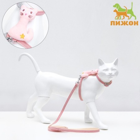 A set of ammunition with a toy, s, leash 120 x 1 cm, Osh 20-30, og 25-40 cm, pink