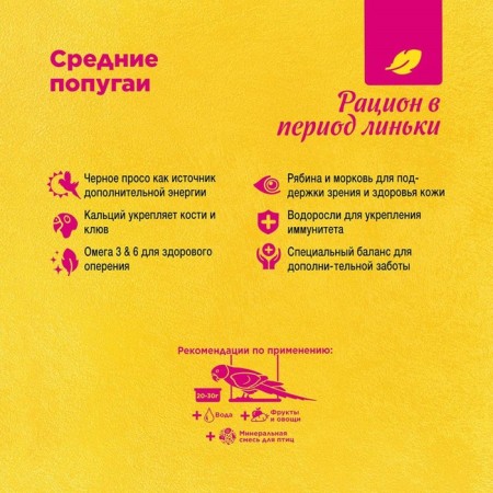 Rio food for medium parrots during molting, 1 kg.-2