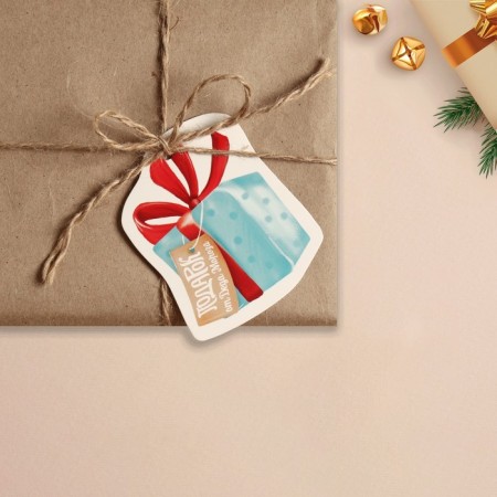 Schildik for a gift New Year "New Year's Gift", 6.5 x6.3 cm, New Year-1