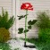 Garden lamp on the sunny battery "Rose Red", 75 cm, 5 LED, glow of white