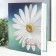 Photo album for 200 photos "Flower collection10" 10x15 cm mix