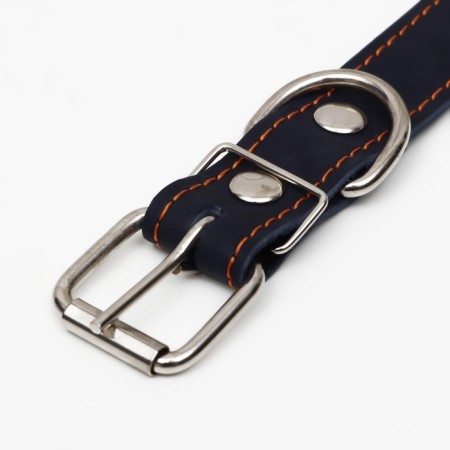 Leather collar on synthetic winterizer, dimensionless, 65 x 3 cm, Osh 22-55 cm, blue-4