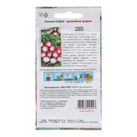 Seeds Radis "Major F1", 2 g-1