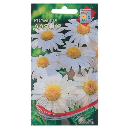 Seeds of flowers Chamomile "Alaska", 70 pcs.-2