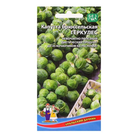 Hercules cabbage seeds, 0.25 g