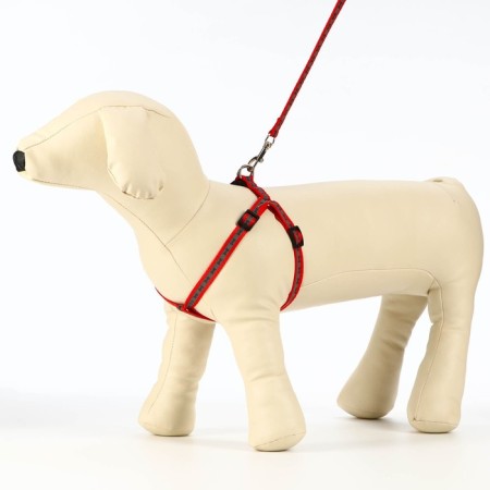 The reflective “bones” set, a collar of 120 x 1 cm, Osh 26-42 cm, fire 26-42 cm, red-3