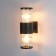 Street wall lamp Arte Lamp Tokyo A5315al-2BK, E27, 2x40 W, 11x17x33 cm, black