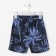 Shorts for the boy KAFTAN "Holidays", size 32 (110-116)