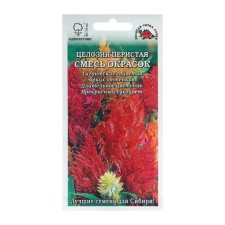 Flower seeds Holosia 