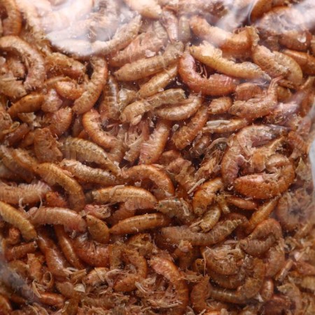Feed for fish and turtles "Pigzon" Gammarus Tushka, 15 g-2