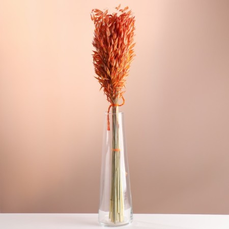 Set of dried flowers "oats", banch length 60-65 (+/- 6 cm), orange