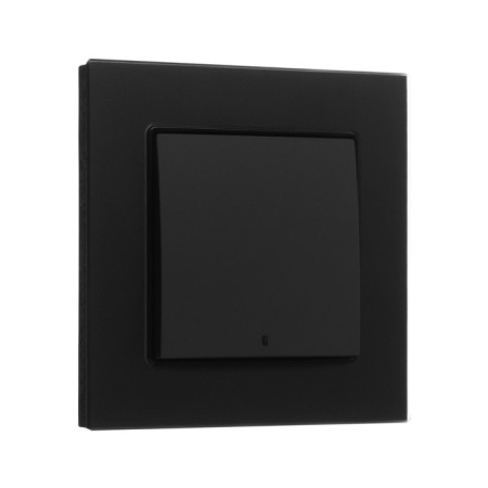Tot Matte Glass switch, 10 a, 1 cl., With backlight, hidden, glass, black-1
