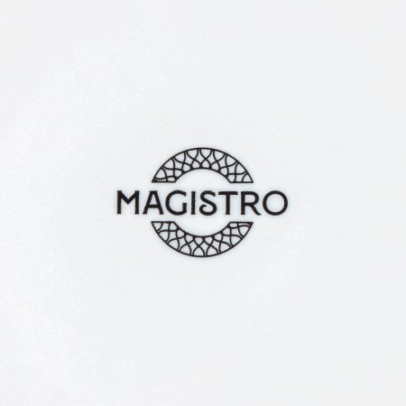 Porcelain dessert plate Magistro Argos, D = 18 cm, white color-4