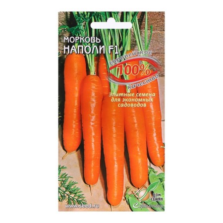 Seeds "Napoli F1", 100 pcs