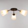 Causte "Online" (cylinder) 3x15W E27 Model: BR 00214 Wenge/Transparent
