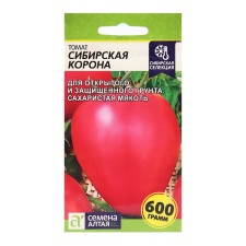 Seeds Tomat 