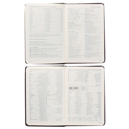 Delicidal Lowed A6 (87 x 131 mm), 100 MEGAPOLIS sheets, hard cover, artificial leather, black-5