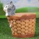 Figure pot "A kitten in a round basket" 20x18cm