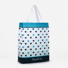 Household bag without fastening, blue color