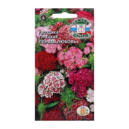 Seed Flower Carnation "First Love" 0.1 g