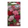 Seed Flower Carnation "First Love" 0.1 g