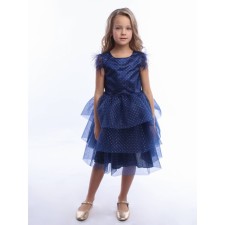 Dress for the girl 